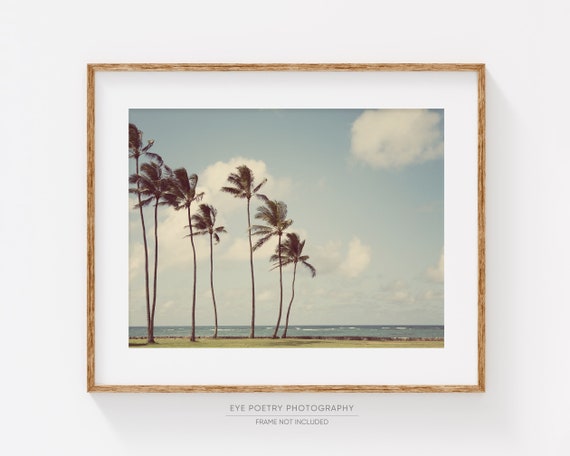 Palm Tree Print, Hawaii Travel Photography, Living Room Art Print, Beach Decor, Beach Wall Art, Tropical Wall Decor, Home Decor