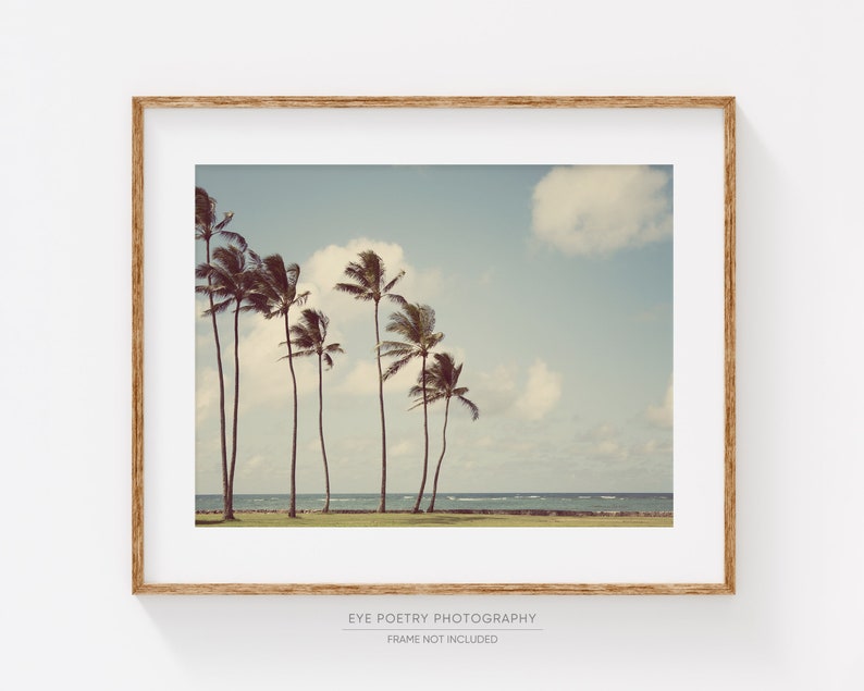 Palm Tree Print, Hawaii Travel Photography, Living Room Art Print, Beach Decor, Beach Wall Art, Tropical Wall Decor, Home Decor image 1