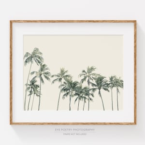 Palm Print, Modern Tropical Decor, Summer, Beach Decor, Palm Trees, Hawaii Print, Tree Wall Art, Landscape Photography, Modern Decor