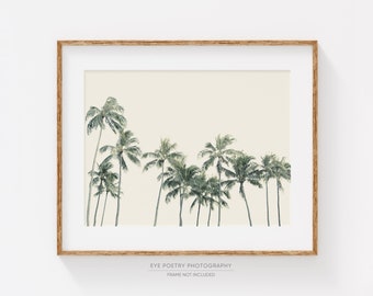 Palm Print, Modern Tropical Decor, Summer, Beach Decor, Palm Trees, Hawaii Print, Tree Wall Art, Landscape Photography, Modern Decor