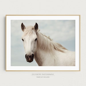 White Horse Print, Wall Art Prints, Nature Photography Print, Horse Art, Horizontal Wall Art, Wall Decor, Large Art, Horse Gifts