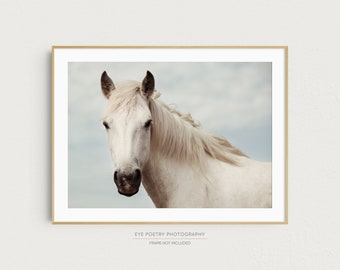 White Horse Print, Wall Art Prints, Nature Photography Print, Horse Art, Horizontal Wall Art, Wall Decor, Large Art, Horse Gifts