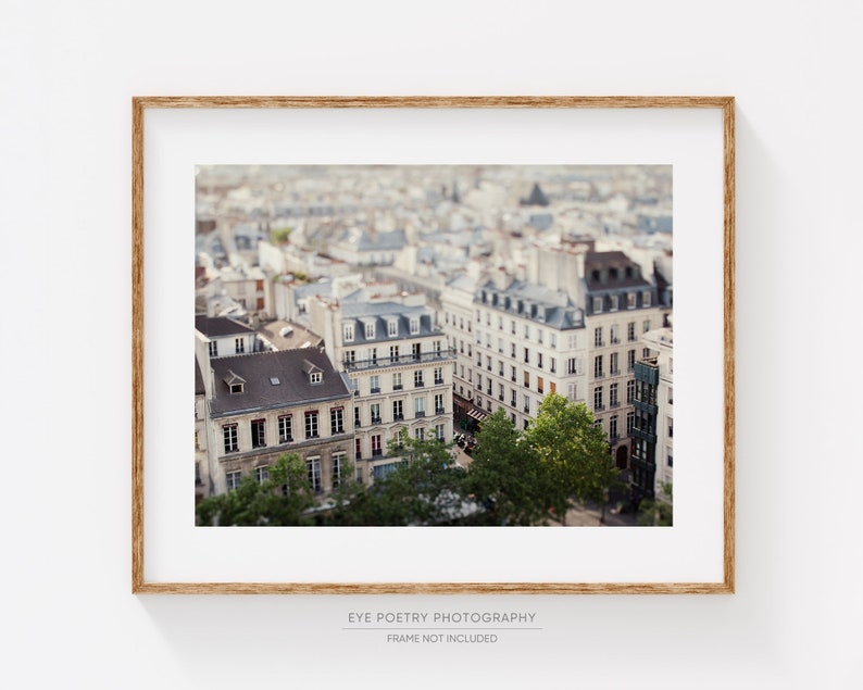 Rooftops in Le Marais, Paris Print, Paris Photography Print, Large Wall Art, French Wall Decor, Travel Photography Petit Paris image 1