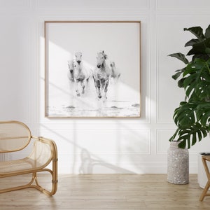 Horse Art, Black and White Prints, Nature Photography, Horse Photography Print, Horse Wall Art, Fine Art Prints image 7