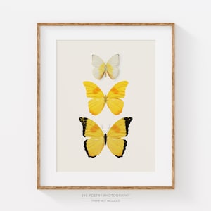 Yellow Butterfly Print, Nature Print, Minimalist Wall Art Prints, Modern Wall Decor, Printed Vertical Giclee