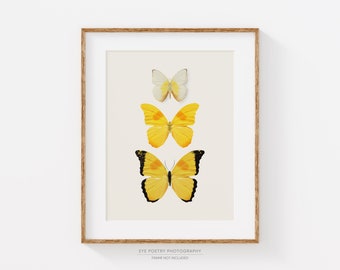 Yellow Butterfly Print, Nature Print, Minimalist Wall Art Prints, Modern Wall Decor, Printed Vertical Giclee