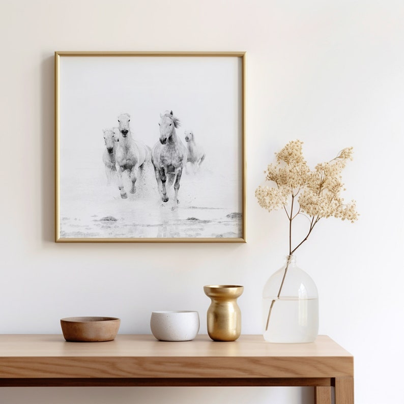 Horse Art, Black and White Prints, Nature Photography, Horse Photography Print, Horse Wall Art, Fine Art Prints image 1