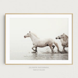 Wild Horse Photography, Horse Wall Art, Equine Print, White Horse Art, Camargue, France, White Wall Decor, Home Decor "Walking Softly"