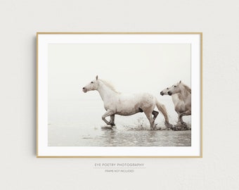 Wild Horse Photography, Horse Wall Art, Equine Print, White Horse Art, Camargue, France, White Wall Decor, Home Decor "Walking Softly"