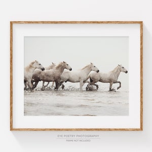 White Horse Print, Horse Art Print, Nature Photography, Wild Camargue Horses, Beige Horizontal Wall Art, Fine Art Photography Print image 1