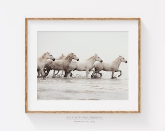 May include: A framed photograph of a group of five white horses running through shallow water. The horses are in a line, with the lead horse looking to the right. The water is a light brown color, and the background is a hazy white.