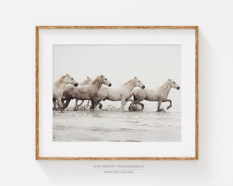 White Horse Print, Horse Art Print, Nature Photography, Wild Camargue Horses, Beige Horizontal Wall Art, Fine Art Photography Print image 1