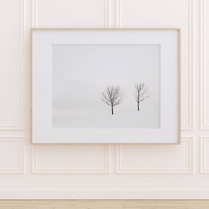 Winter Landscape Photography Print, Black and White Art, Nature Photography, Minimalist Art Print, Scandinavian Art, Trees Two Solitudes image 4