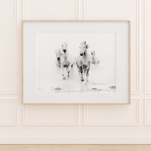 Horse Art, Black and White Prints, Nature Photography, Horse Photography Print, Horse Wall Art, Fine Art Prints image 8
