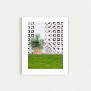 May include: A white wall with a geometric pattern and a green lawn in front of it. A small, green plant is growing in the lawn.