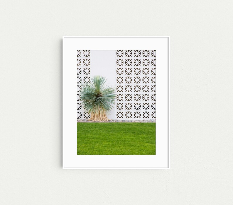 May include: A white wall with a geometric pattern and a green lawn in front of it. A small, green plant is growing in the lawn.