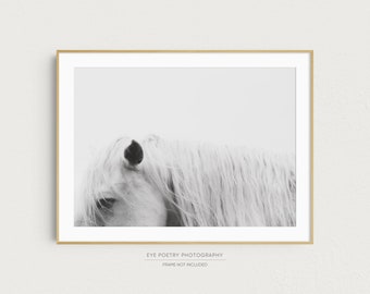 Horse Art Print, Black and White Print, Nordic Nature Photography Print, Minimalist Wall Art, Fine Art Photography, Fine Art Print