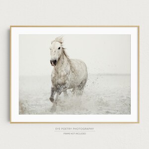 White Horse Print, Fine Art Nature Photography, Minimalist Wall Art, Large Square or Horizontal Wall Decor image 2