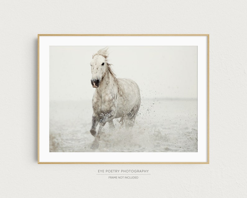 White Horse Print, Fine Art Nature Photography, Minimalist Wall Art, Large Square or Horizontal Wall Decor image 2