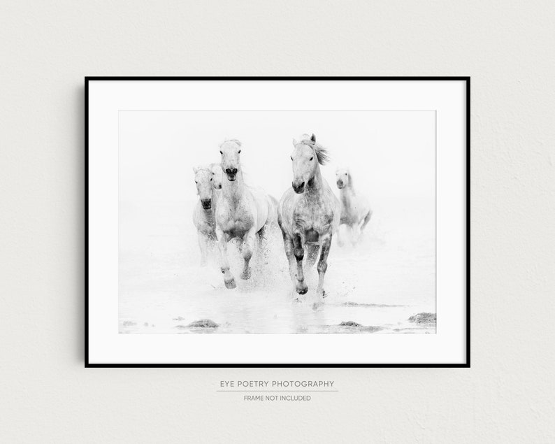 Horse Art, Black and White Prints, Nature Photography, Horse Photography Print, Horse Wall Art, Fine Art Prints image 3