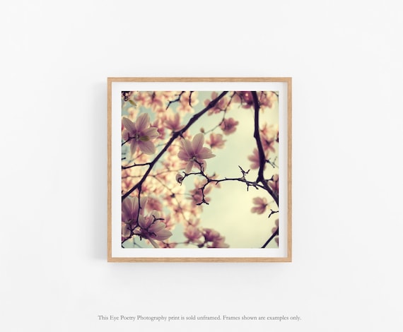 Magnolia Flower Print, Spring Wall Art, Nature Photography, Prints, Square Botanical Wall Decor, Floral Wall Art, Gift for Mom