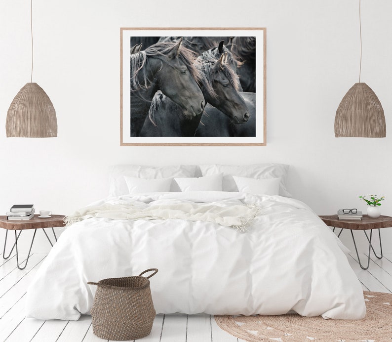 Horse Photography Two Friesian Horses Large Wall Art Nature - Etsy
