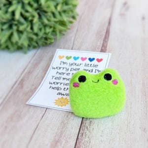 May include: A green plush frog with embroidered eyes, a smile, and pink cheeks. The frog is sitting on a white card with the text "I'm your little worry pet and I'm here to help the worries away." The card has a rainbow of hearts at the top.