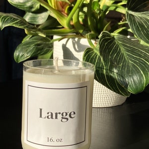 Pu&ograve; includere: Un barattolo di vetro trasparente per candele con un'etichetta bianca che dice "Large" e "16 oz". La candela &egrave; bianca e ha uno stoppino.