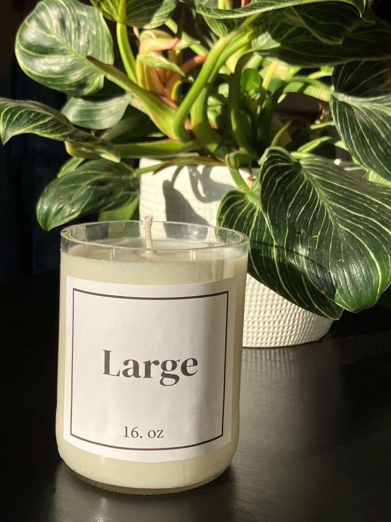 Pu&ograve; includere: Un barattolo di vetro trasparente per candele con un'etichetta bianca che dice "Large" e "16 oz". La candela &egrave; bianca e ha uno stoppino.