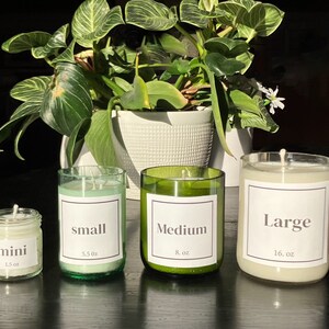 Pu&ograve; includere: Quattro candele di diverse dimensioni, etichettate "mini", "piccola", "media" e "grande". Le candele sono in vasetti di vetro con etichette bianche e testo nero. Le candele sono su una superficie nera davanti a una pianta in vaso.