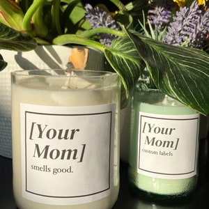 Pu&ograve; includere: Due barattoli di vetro per candele con etichette bianche. L'etichetta sul barattolo a sinistra dice "[Your Mom] smells good." L'etichetta sul barattolo a destra dice "[Your Mom] custom labels."