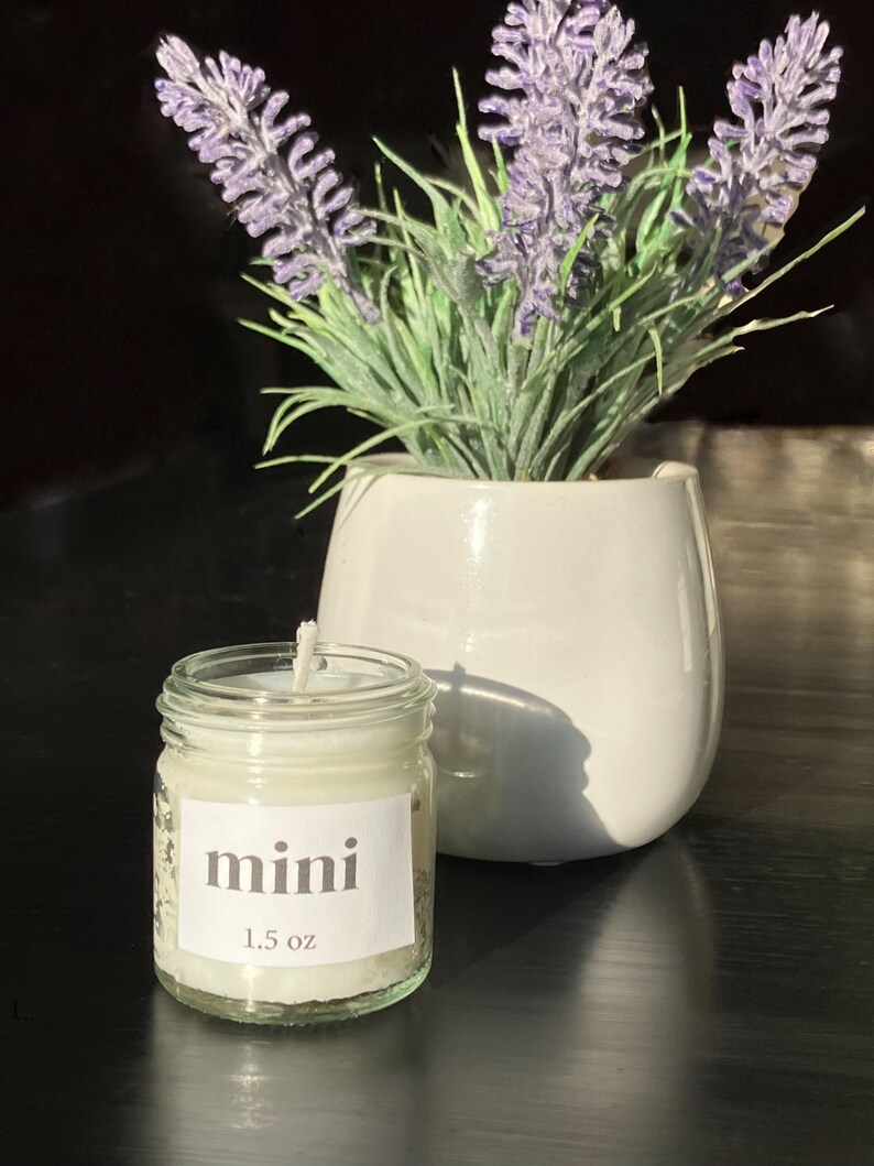 Pu&ograve; includere: Una piccola candela di vetro in un barattolo con un'etichetta bianca che dice "mini 1,5 oz". La candela &egrave; appoggiata su una superficie nera accanto a un vaso di ceramica bianca con una pianta di lavanda.