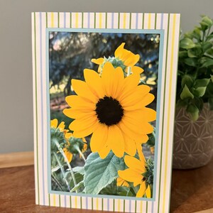 Grußkarte, Zinnie, Blankokarte, handgemachte Karte, mycraftedgreetings, Allanlasskarte, Sonnenblumenkarte, Blumenkarte, Gänseblümchenkarte, Fotokarte