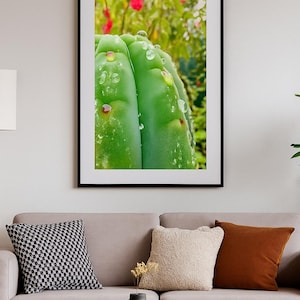San Pedro, Huachuma, Wall Art Print, Wall Art, Mystic, Shamanism, psychedelics