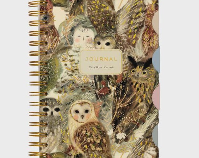 Bruno Visconti Owl Art Journal