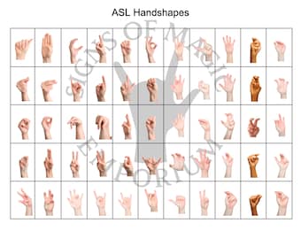 Peut inclure: Une grille de gestes de la main représentant les formes de mains de la langue des signes américaine (ASL). Chaque main est positionnée sur un fond blanc, démontrant divers signes. Le titre "ASL Handshapes" est en haut.