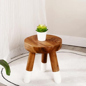 May include: A small, round wooden stool with three legs, each tipped with white paint. The stool's surface is a rich brown, and it supports a small white pot holding a green and yellow succulent plant. The stool is on a white rug.