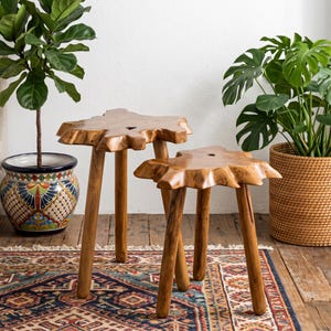 May include: Two natural wood stools with irregular, organic-shaped tops and three cylindrical legs each. The stools feature a smooth, polished finish that highlights the wood grain, with a small circular hole centered in each tabletop surface.