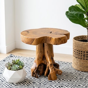 May include: A natural light brown wooden side table crafted from a single tree stump with a smooth, circular top and a textured, organic base featuring visible wood grain, knots, and a sturdy, irregular root structure supporting the tabletop.