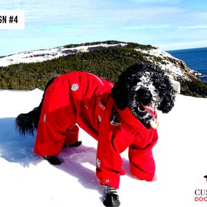 Könnte beinhalten: Ein schwarzer Hund trägt einen leuchtend roten, maßgeschneiderten Hundemantel in einer verschneiten Landschaft. Der Mantel hat Pfotenabdruck-Akzente und den Text "DESIGN #4". Der Hund trägt schwarze Stiefel. Das Logo von Custom Dog Coats ist sichtbar.