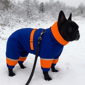 Euro Dog Designs Dakota Dog Snow Suit - 4-Legged Waterproof Winter Coat