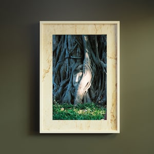 Ayutthaya Thailand RARE 35mm Film Photograph Buddhist Head in Tree Temple Pagoda Phra Wall Decor Traveling Nomad Print Digital Download