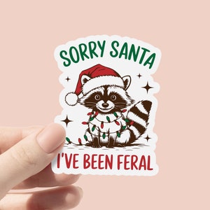 Adesivo in vinile "Mi dispiace Babbo Natale, sono stato selvaggio", adesivo divertente con meme sul procione, adesivo sarcastico, adesivo retrò divertente per le feste di Natale