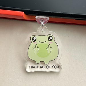 Könnte beinhalten: Ein klarer Acryl-Schlüsselanhänger mit einem Cartoon-Frosch-Design. Der Frosch hat einen grünen Körper, schwarze Augen und einen lächelnden Mund und zeigt den Mittelfinger. Der Text "I HATE ALL OF YOU" ist darunter gedruckt.