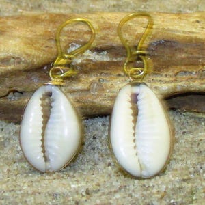 May include: A pair of gold earrings with white cowrie shell pendants. The shells have a natural, slightly iridescent finish.