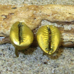 Pode incluir: Duas conchas de cauri douradas, um tipo de caracol marinho, são exibidas em um pedaço de madeira flutuante. As conchas são lisas e brilhantes, com uma forma natural e orgânica.
