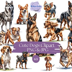 63 hond clipart - hondje clipart, honden illustraties, hond vectorkunst, honden png, labrador - sublimatie ontwerpen, digitale kunst, hond vectorafbeeldingen