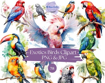 78 Watercolor Tropical Birds Clipart Set - Exotic Plants & Caribbean Tropical Watercolor