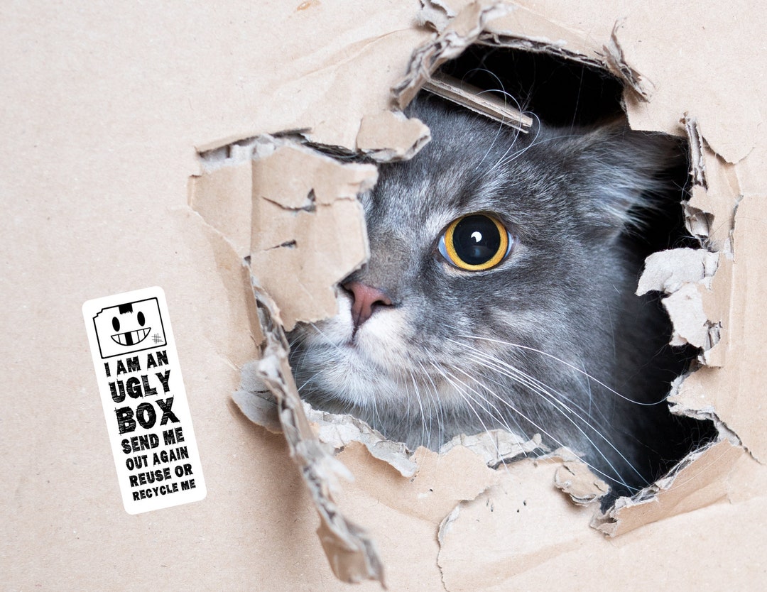 Ugly Box Sticker Labels, Recycled Packaging Stickers - Etsy