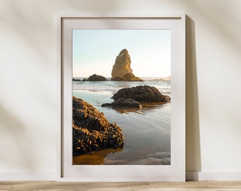 May include: A framed photograph of a rocky beach with a large rock formation in the background. The water is calm and the sky is blue. The rocks are covered in barnacles and seaweed.